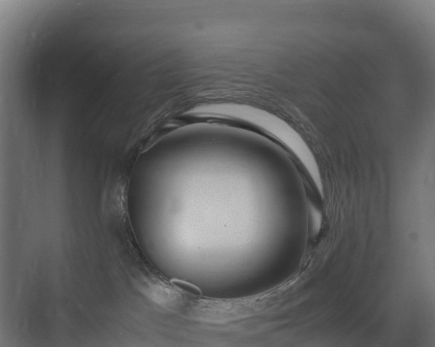 X0000075380045200609151740