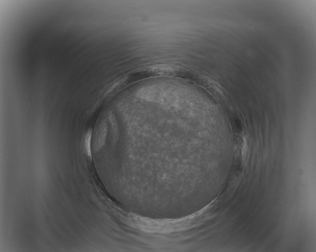 X0000075380047200609151740