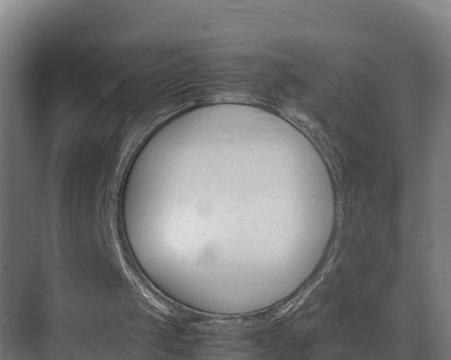 X0000075380049200609151739