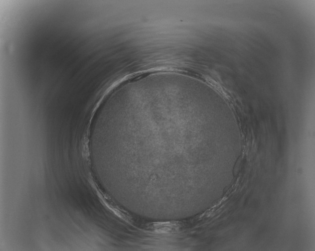 X0000075380050200609151739