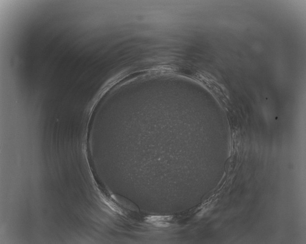 X0000075380051200609151739