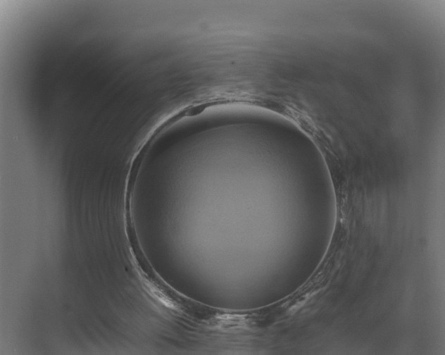 X0000075380052200609151739