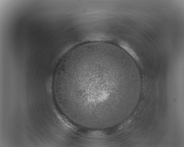 X0000075380058200609151739