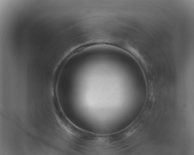 X0000075380060200609151739