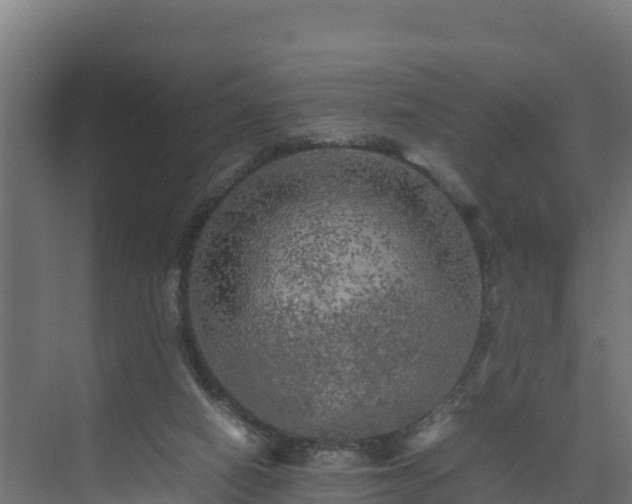 X0000075380066200609151739