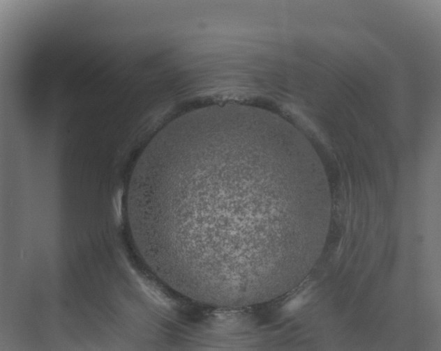 X0000075380070200609151739