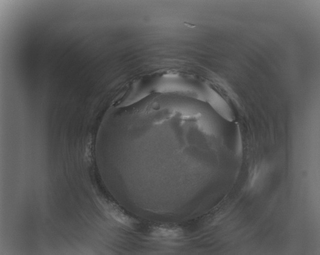 X0000075380073200609151739