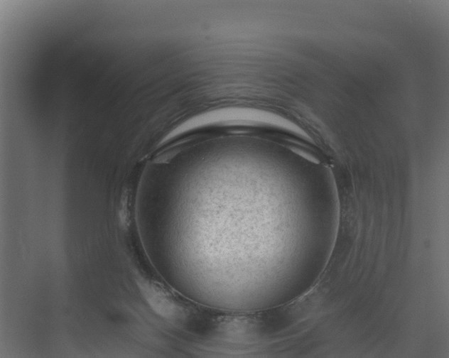 X0000075380074200609151739