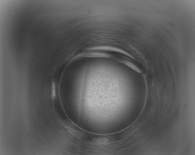 X0000075380075200609151739