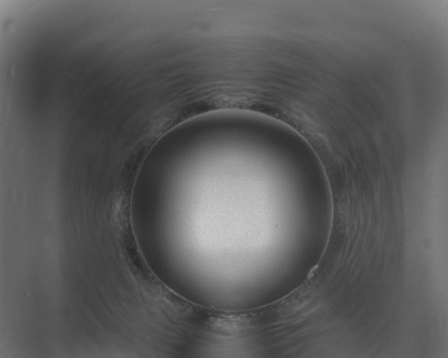 X0000075380079200609151739