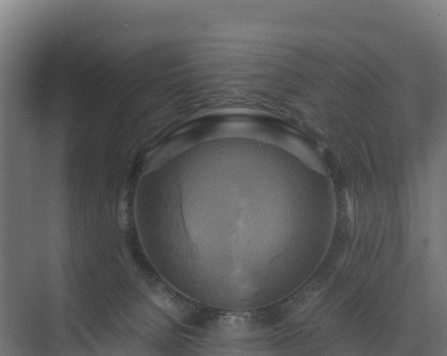 X0000075380080200609151739