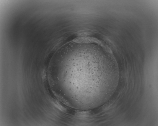 X0000075380081200609151739