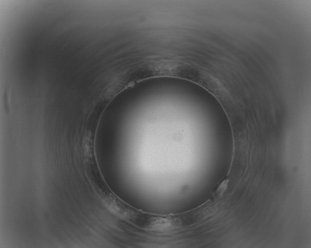 X0000075380083200609151740