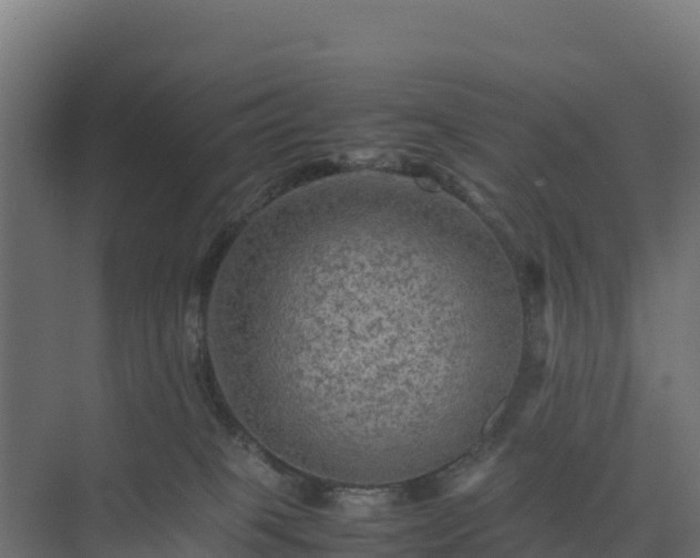 X0000075380085200609151740