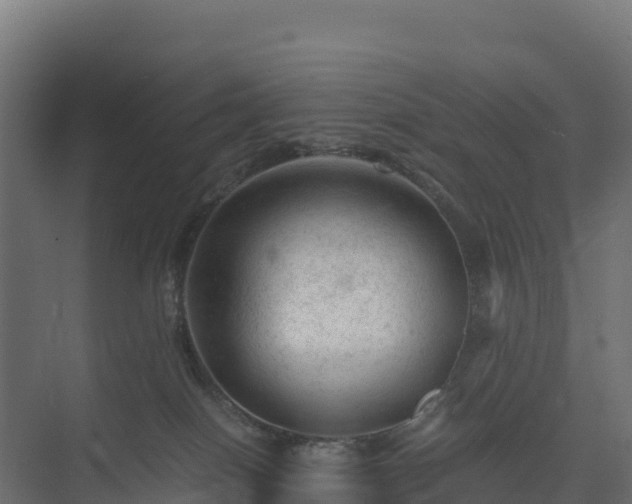 X0000075380086200609151740