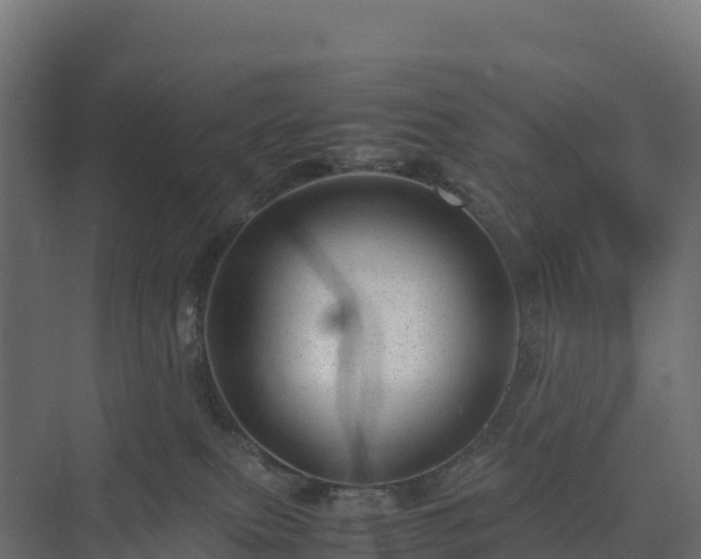 X0000075380087200609151740