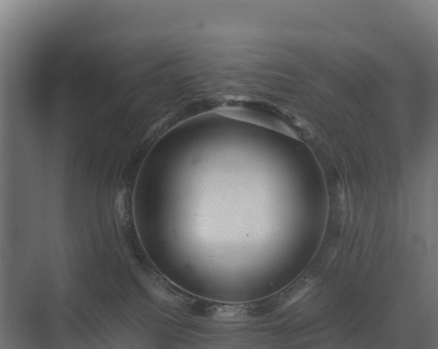 X0000075380088200609151740