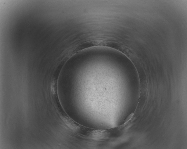 X0000075380090200609151740