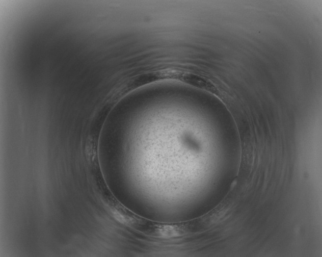 X0000075380091200609151740