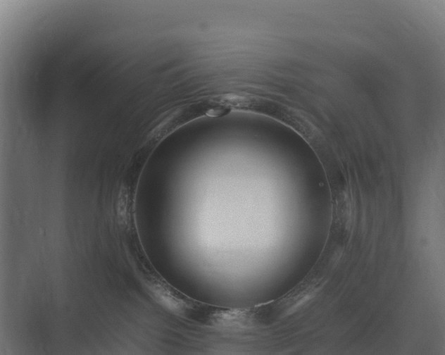 X0000075380092200609151740