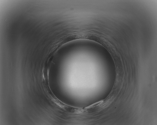 X0000075380096200609151740