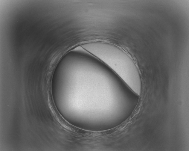 X0000075380097200609151739