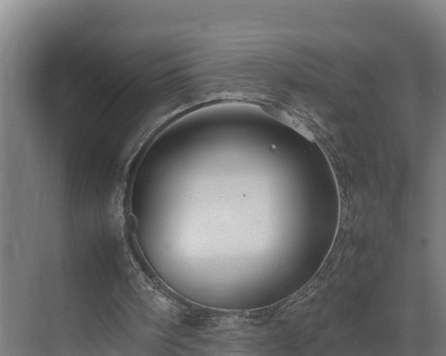 X0000075380098200609151739