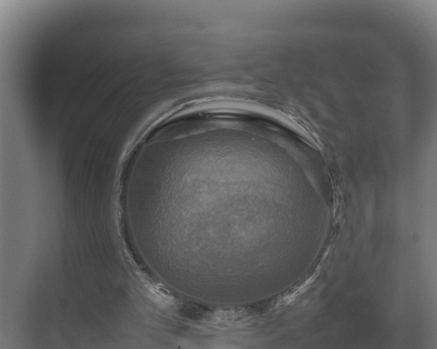 X0000075380101200609151739