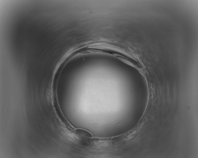 X0000075380102200609151739