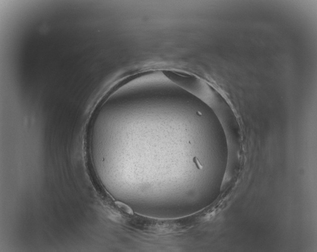 X0000075380103200609151739