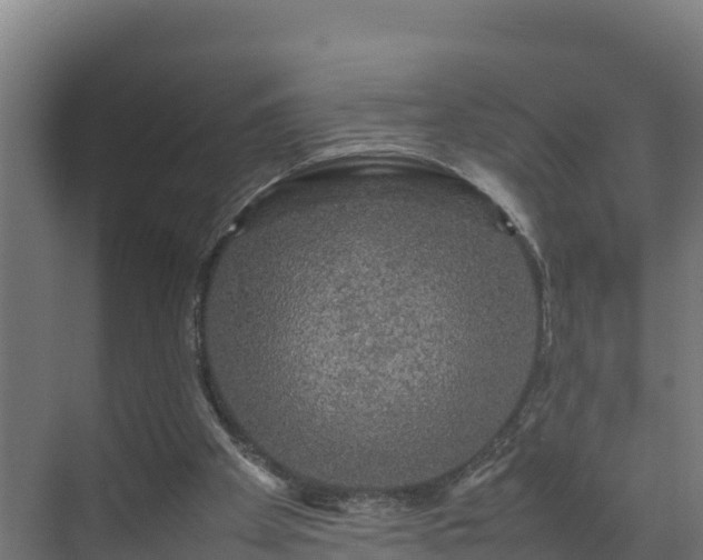 X0000075380105200609151739