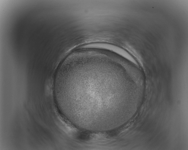 X0000075380107200609151739