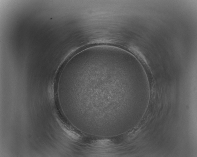 X0000075380108200609151739