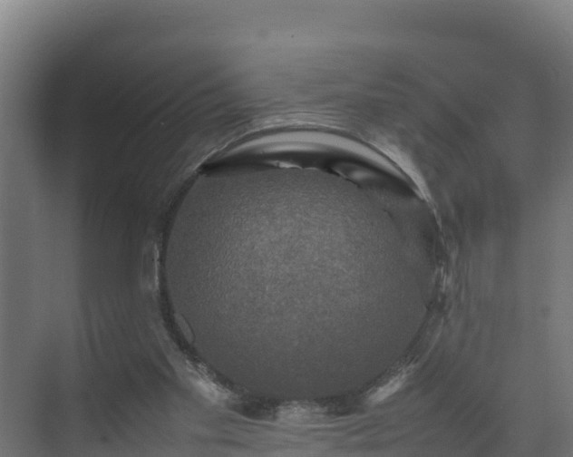 X0000075380109200609151739