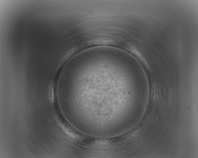 X0000075380110200609151739