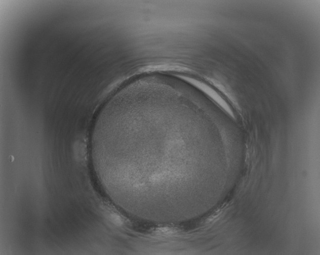 X0000075380111200609151739