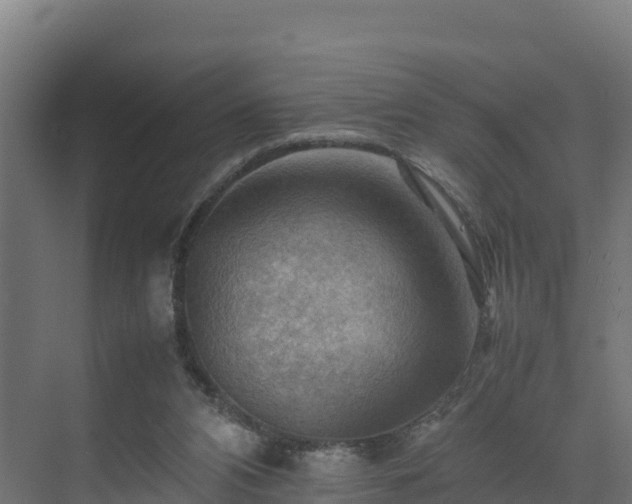 X0000075380112200609151739