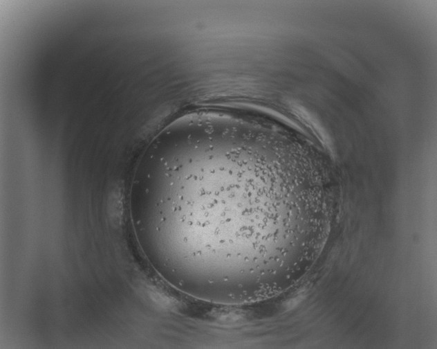 X0000075380113200609151739