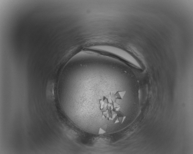 X0000075380115200609151739