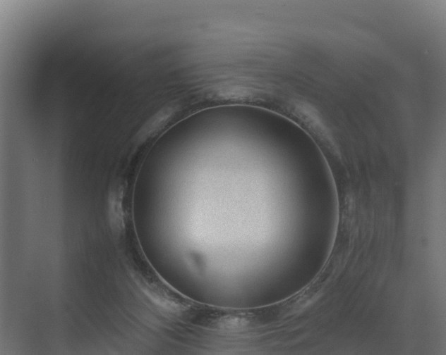 X0000075380116200609151739