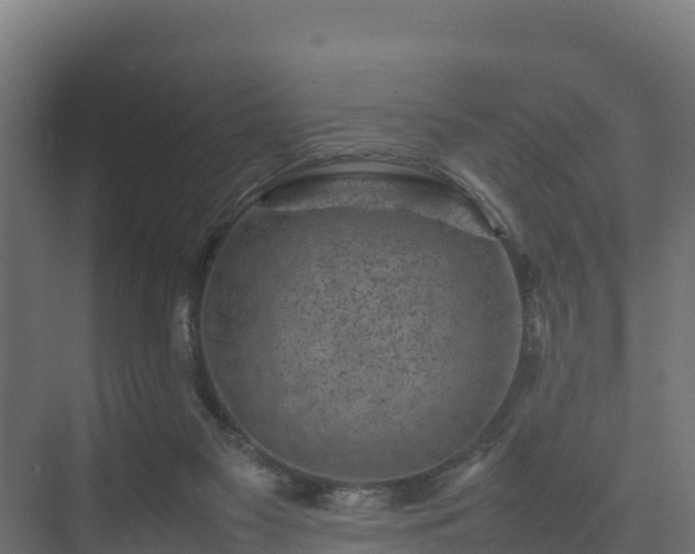 X0000075380117200609151739