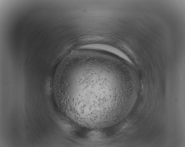 X0000075380119200609151739