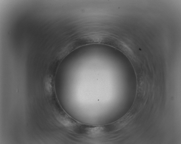 X0000075380122200609151738