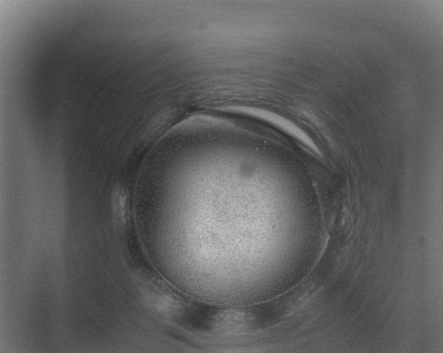 X0000075380123200609151738