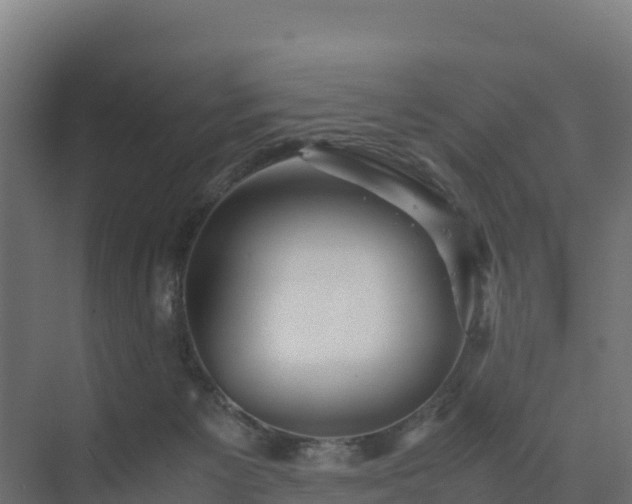 X0000075380125200609151738