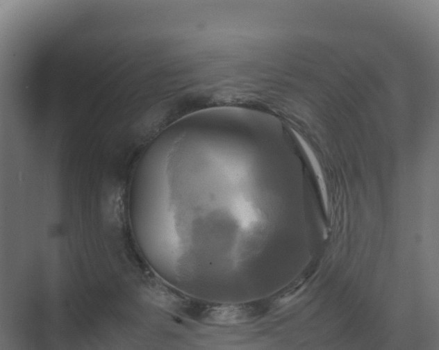 X0000075380127200609151738