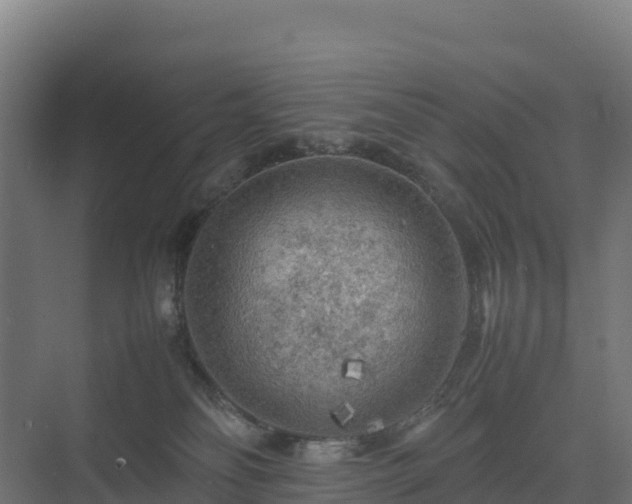 X0000075380134200609151738