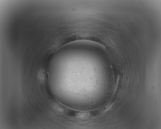 X0000075380135200609151738