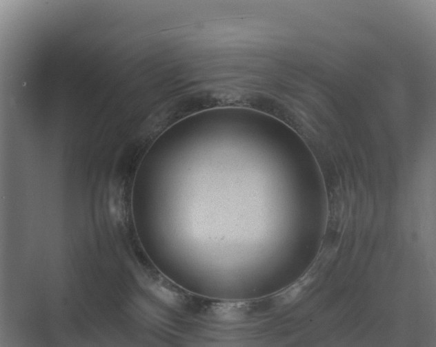 X0000075380136200609151738