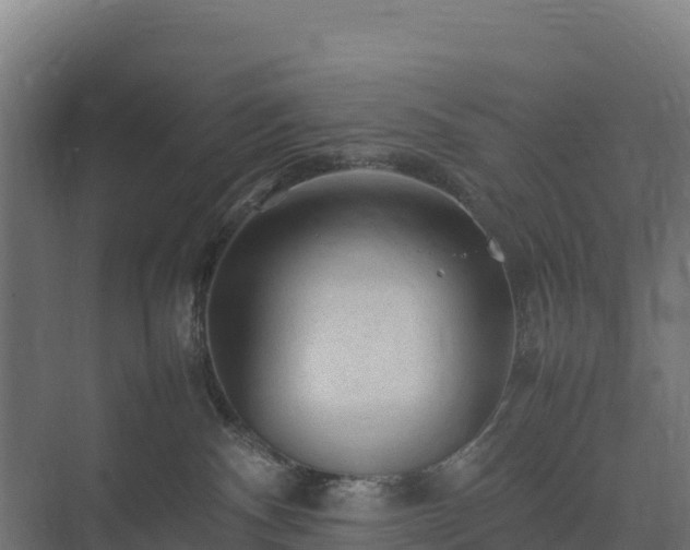 X0000075380140200609151738